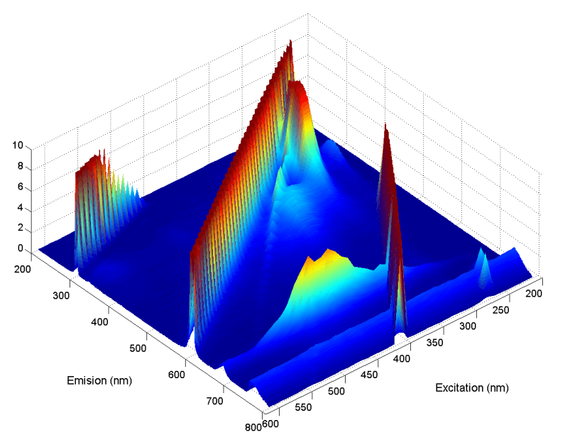 EEM Feature image