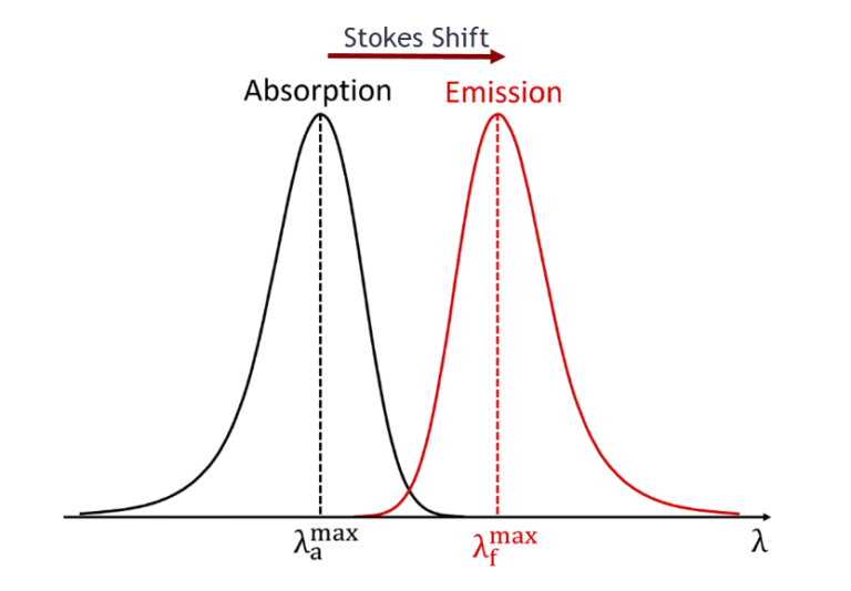 Schematic of the Stokes shift