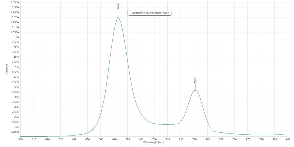 Fluorescence peak of chlorophyll in olive oil